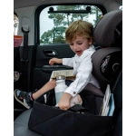 Caja Organizadora para Coche de Ezimoov