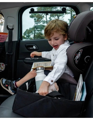 Caja Organizadora para Coche de Ezimoov