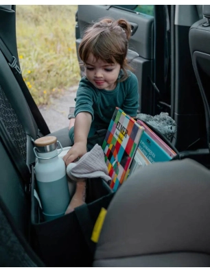 Caja Organizadora para Coche de Ezimoov