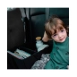 Caja Organizadora para Coche de Ezimoov