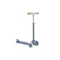 Patinete Banwood Eco