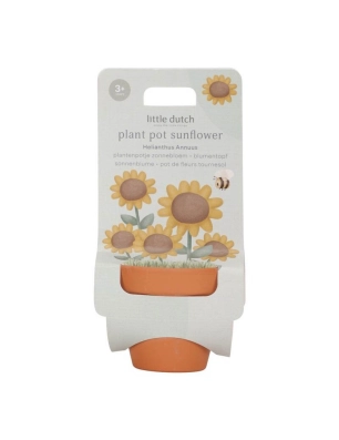 Maceta con planta de Little Dutch