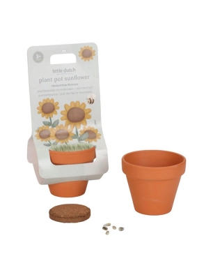 Maceta con planta de Little Dutch