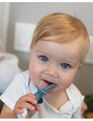 Cepillo de dientes de animales de Dr. Brown's