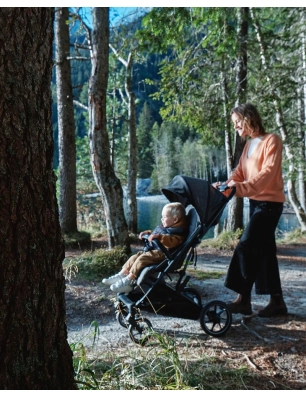 Silla de Paseo Maior de Inglesina