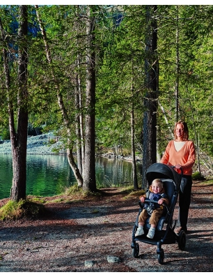 Silla de Paseo Maior de Inglesina