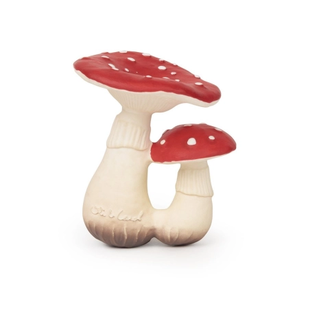 Mordedor Spot the Mushroom de Oli and Carol