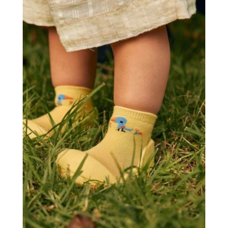 Calzado Attipas Bird