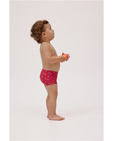 Boxer De Ysabel Mora