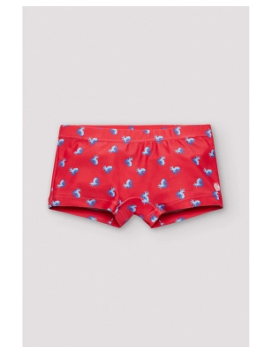 Boxer De Ysabel Mora