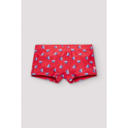 Boxer De Ysabel Mora