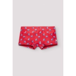 Boxer De Ysabel Mora