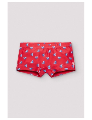 Boxer De Ysabel Mora