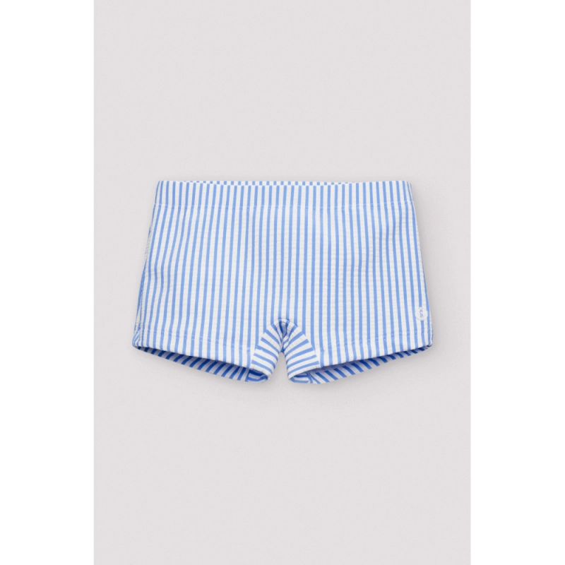 Boxer De Ysabel Mora