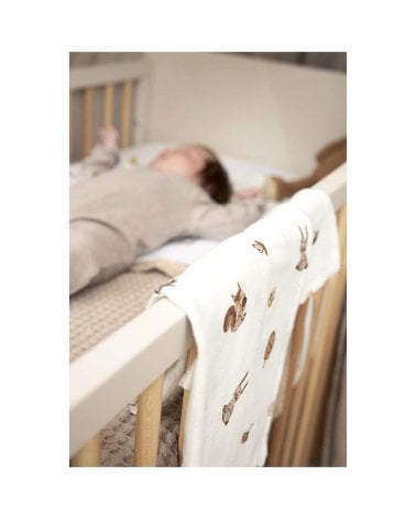 Pack 2 Muselinas Grandes de Meyco Baby Forest Animals Toffe