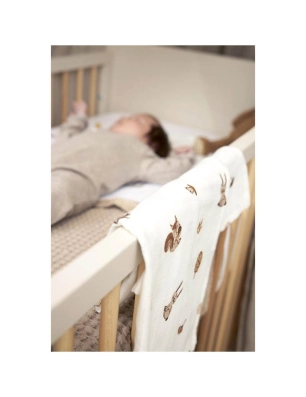 Pack 2 Muselinas Grandes de Meyco Baby Forest Animals Toffe