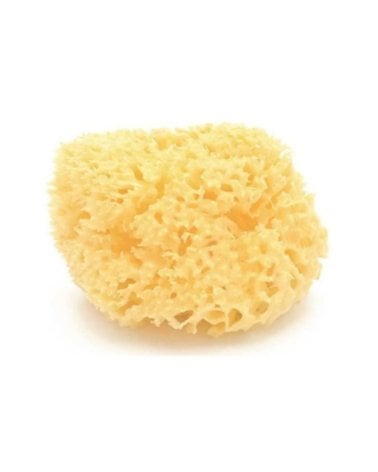 Esponja Natural Archipiélago de Bellini Pequeña S10