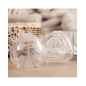 Set 2 recolectores Ladybug 40ml de Haakaa