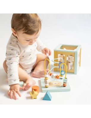 Cubo de Actividades de Saro
