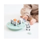 Juego de Equilibrio de Saro