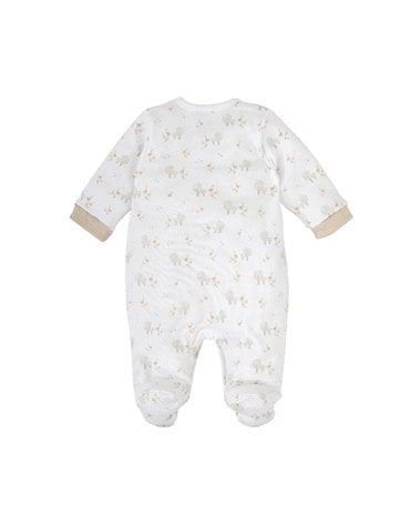 Pelele Ent. Ab. Del. Sendero De Babidu