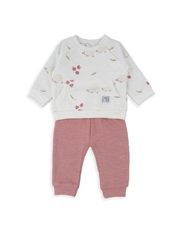 Conjunto 2 Piezas De Babybol