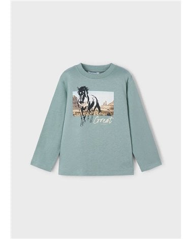 Camiseta M/L Caballo De Mayoral