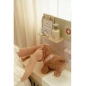 Veterinaria FSC de Little Dutch