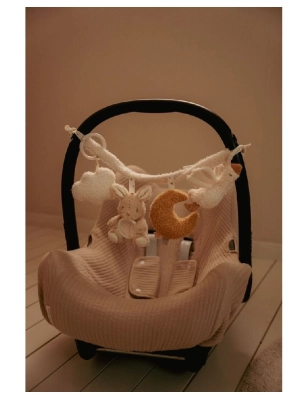 Juguete Carrito Newborn Naturals de Little Dutch