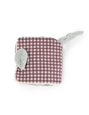 Libro Actividades León Gala de Walking Mum Cerise