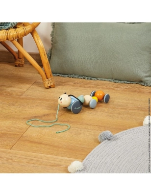 Oruga Paseo de Janod