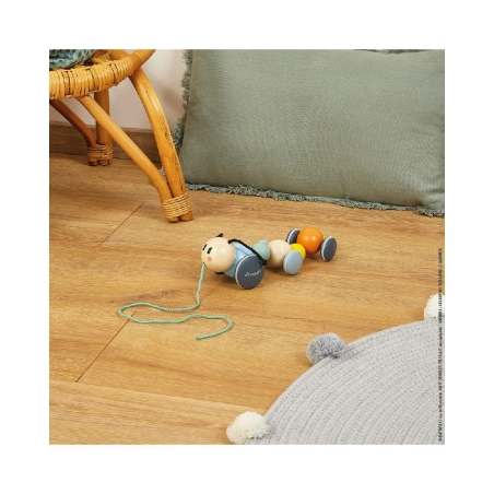 Oruga Paseo de Janod