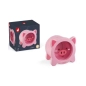 Hucha Cerdito de Janod