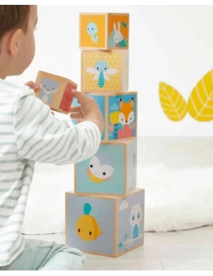 Pirámide 6 cubos de Janod