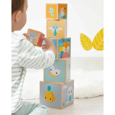 Pirámide 6 cubos de Janod