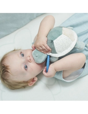 Tortuga actividades de Nattou