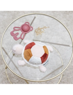 Tortuga actividades de Nattou Rosa