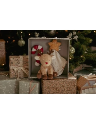 Caja Regalo Recién nacido Navidad de Little Dutch