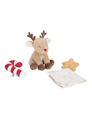 Caja Regalo Recién nacido Navidad de Little Dutch