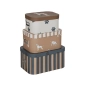 Caja Decorativa Perro Scott de Atmosphera