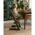 Trona evolutiva Tripp Trapp de Stokke Marble Green