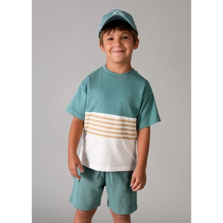 Conjunto Punto De Mayoral