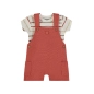 Conjunto 2 Piezas De Babybol