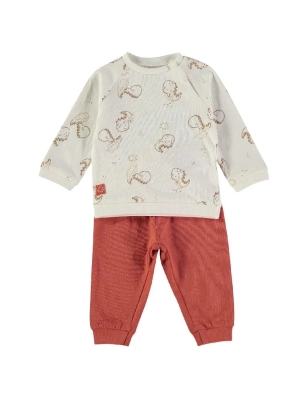 Conjunto 2 Piezas De Babybol