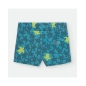Boxer De Waterlemon