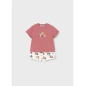 Conjunto Pantalon Corto Punto De Mayoral