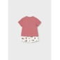 Conjunto Pantalon Corto Punto De Mayoral