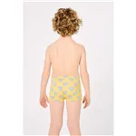 Boxer De Ysabel Mora