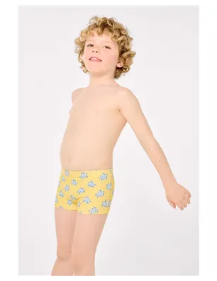 Boxer De Ysabel Mora