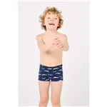 Boxer De Ysabel Mora
